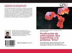 Purificación de anticuerpos (Ac) específicos a la proteína &quote;Erns&quote;