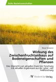 Wirkung des Zwischenfruchtanbaus auf Bodeneigenschaften und Pflanzen