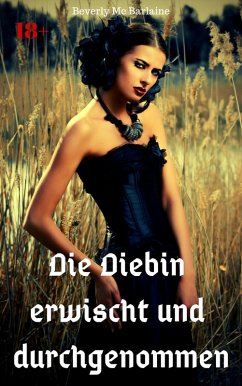 Die Diebin erwischt und durchgenommen (eBook, ePUB) - Barlaine, Beverly Mc