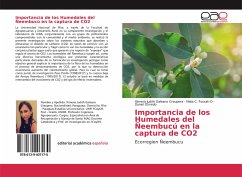 Importancia de los Humedales del Ñeembucú en la captura de CO2 - Galeano Graupera, Ximena Judith;Fossati D, Nidia C.;Olmedo, Daniel