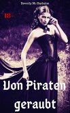 Von Piraten geraubt (eBook, ePUB)