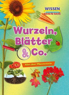 Wurzeln, Blätter & Co. - Owen, Ruth