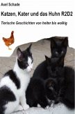 Katzen, Kater und das Huhn R2D2