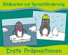 Bildkarten zur Sprachförderung: Erste... - Bild 1