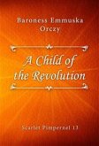 A Child of the Revolution (eBook, ePUB)