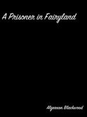 A Prisoner in Fairyland (eBook, ePUB)