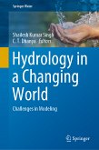 Hydrology in a Changing World (eBook, PDF)