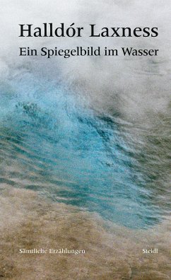 Ein Spiegelbild im Wasser (eBook, ePUB) - Laxness, Halldór