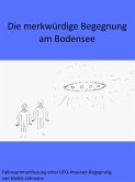 Die merkwürdige Begegnung am Bodensee (eBook, ePUB)