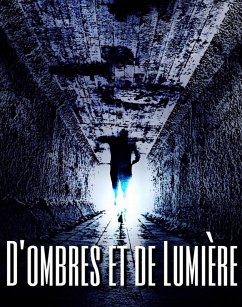 D'Ombres et de lumiere (eBook, ePUB) - Virginia Fantoni, Fantoni