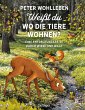 Weißt du, wo die Tiere wohnen? - Bild 1