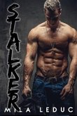 Stalker (eBook, ePUB)