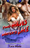 Two Wolves of Winter's Lake : Shifter Menage Romance (eBook, ePUB)