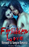 Forbidden Love : Werewolf vs. Vampire Romance (eBook, ePUB)