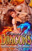 Owned by The Dragons : Dragon Menage Romance (eBook, ePUB)