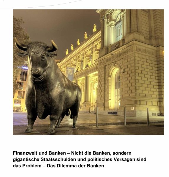 Finanzwelt und Banken - Nicht die Banken, sondern gigantische Staatsschulden und politisches Versagen sind das Problem (eBook, ePUB)
