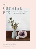 Crystal Fix (eBook, ePUB)