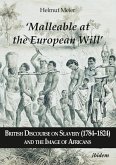'Malleable at the European Will': British Discourse on Slavery (1784-1824) and the Image of Africans (eBook, ePUB)