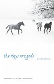 Days Are Gods (eBook, ePUB) Days Are Gods (eBook, ePUB)