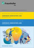Corporate Innovation Labs