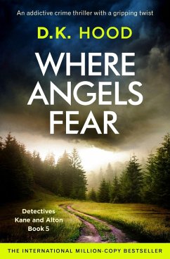 Where Angels Fear (eBook, ePUB)