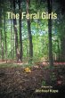 The Feral Girls (eBook, ePUB) - Bild 1