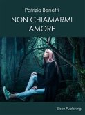 Non chiamarmi amore (eBook, ePUB)