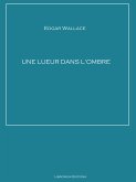 Une lueur dans l'ombre (eBook, ePUB)