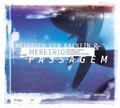 Passagem - Kalnein,Heinrich Von/Meretrio