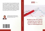 Résilience des très petites entreprises aux crises de grande ampleur dans les pays en développement