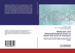 Molecular and Histopathological study to Adult and larva of Toxocara - Hade, Balkes F.;Saadedin, Shurook M. K.;Amery, Amer M. Al-