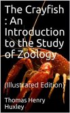 The Crayfish / An Introduction to the Study of Zoology. The International Scientific Series, Vol. XXVIII (eBook, PDF)