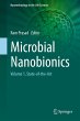 Microbial Nanobionics - Bild 1