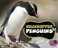 Rockhopper Penguins - Rake, Jody S.
