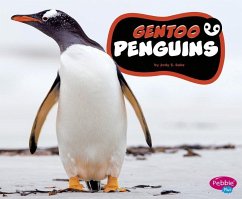 Gentoo Penguins - Rake, Jody S.