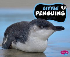 Little Penguins - Rake, Jody S.