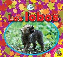 Los Lobos - Kissock, Heather