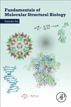 Fundamentals of Molecular Structural Biology - Pal, Subrata