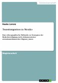 Transitmigration in Mexiko (eBook, PDF)