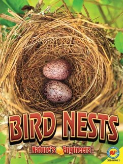 Bird Nests - Tornio, Stacy