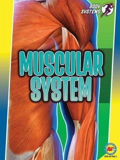 Muscular System - Rose, Simon