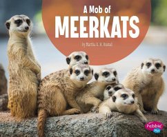 A Mob of Meerkats - Rustad, Martha E. H.