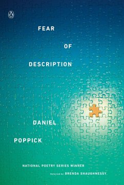 Fear of Description - Poppick, Daniel