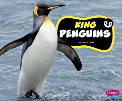 King Penguins - Rake, Jody S.