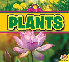 Plants - York, M J