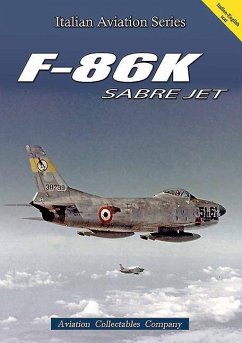 F-86k Sabre Jet - Anselmino, Federico