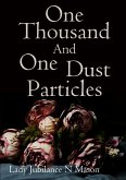 One Thousand and One Dust Particles