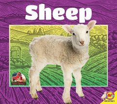 Sheep - Siemens, Jared