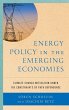 Energy Policy in the Emerging Economies - Bild 1