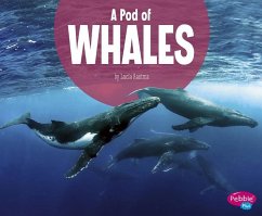 A Pod of Whales - Raatma, Lucia